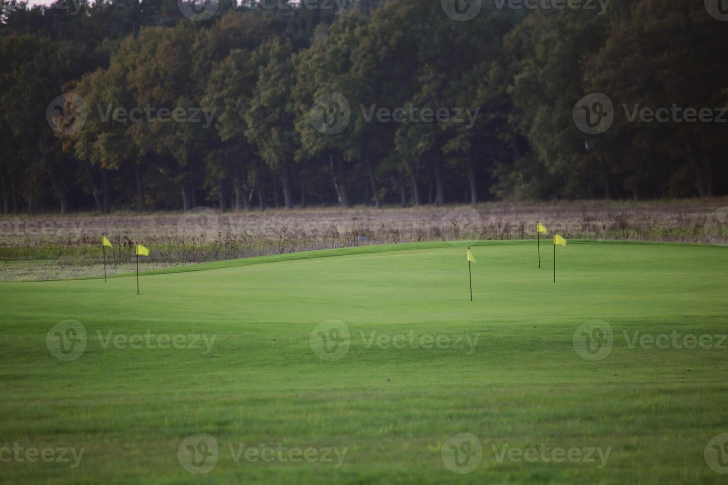 Yellow flags on golf course. photo