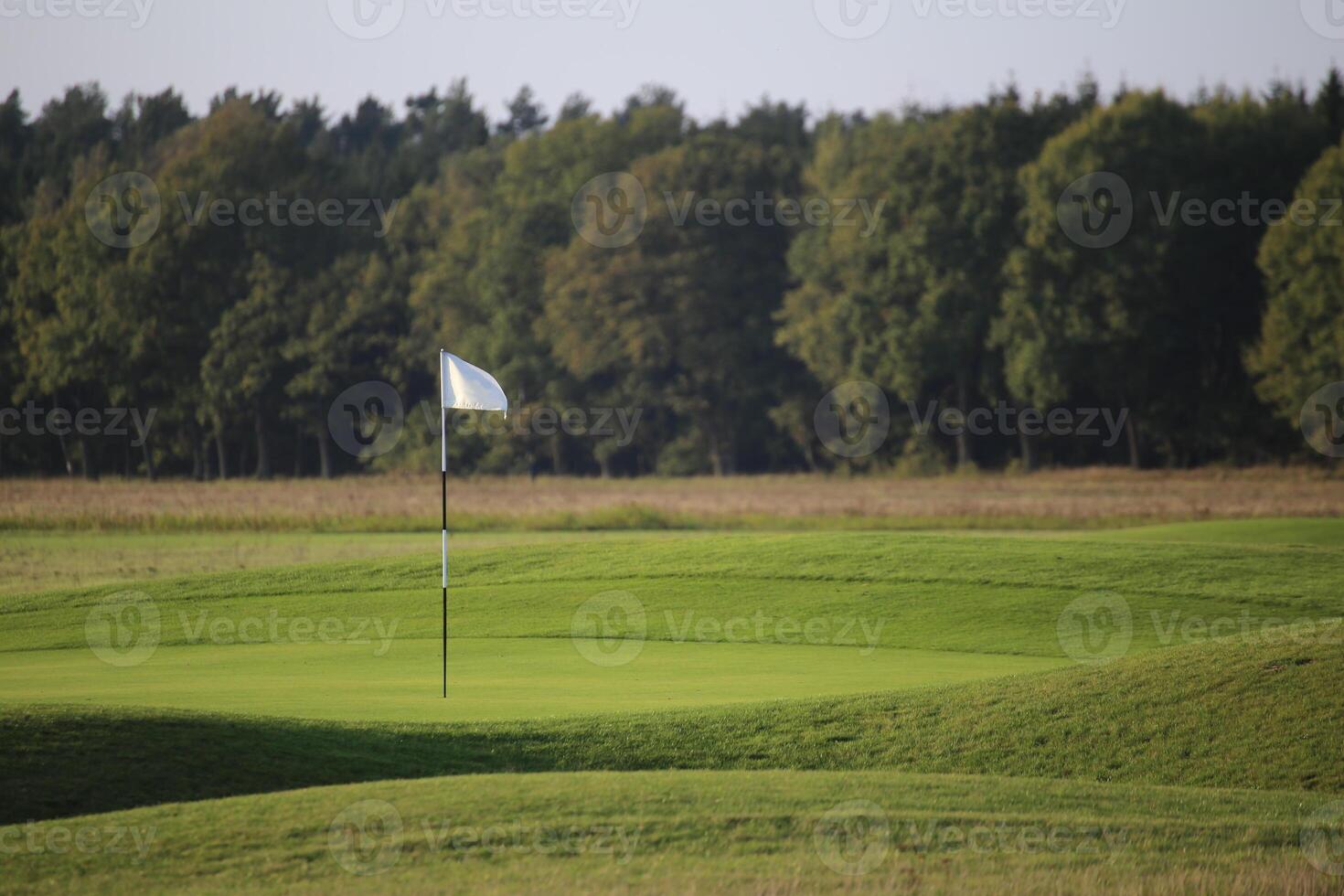 White flag on golf course with green grass photo