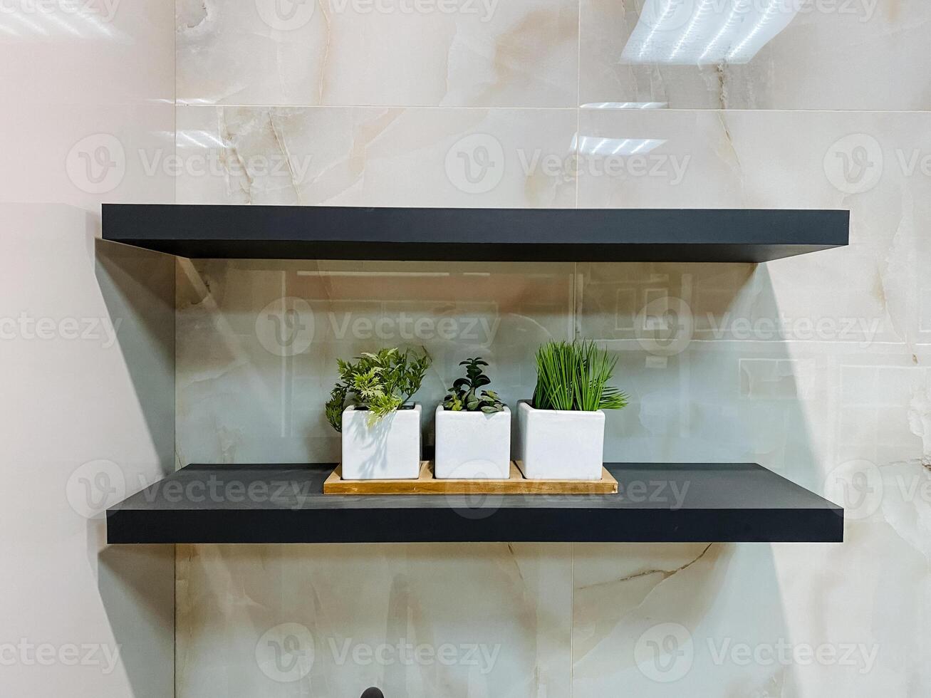 In a cozy bathroom, there are two shelves that are adorned with various potted plants, adding a touch of greenery and life to the space. Its a delightful sight to behold photo
