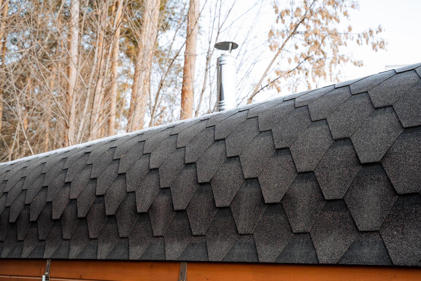 This particular black roof showcases a chimney, which is strategically placed atop, serving both practical purposes and enhancing the visual attractiveness of the entire structure photo