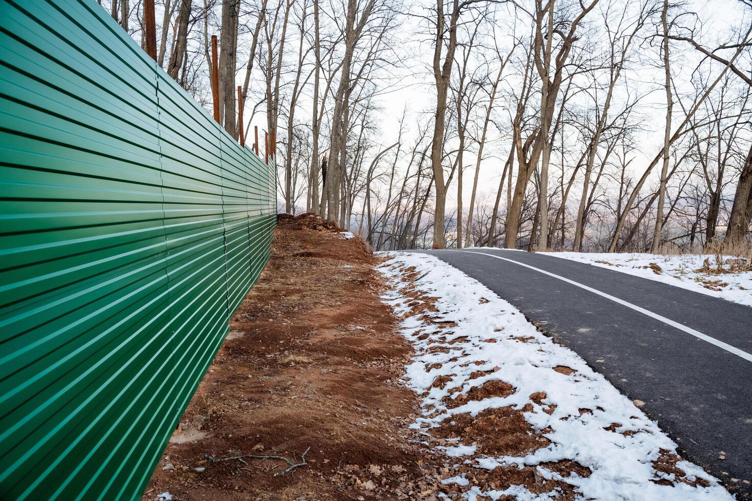 A vibrant green corrugated fence runs alongside a winter walking path set in a tranquil leafless forest, creating a picturesque scene for anyone enjoying the natural wilderness photo