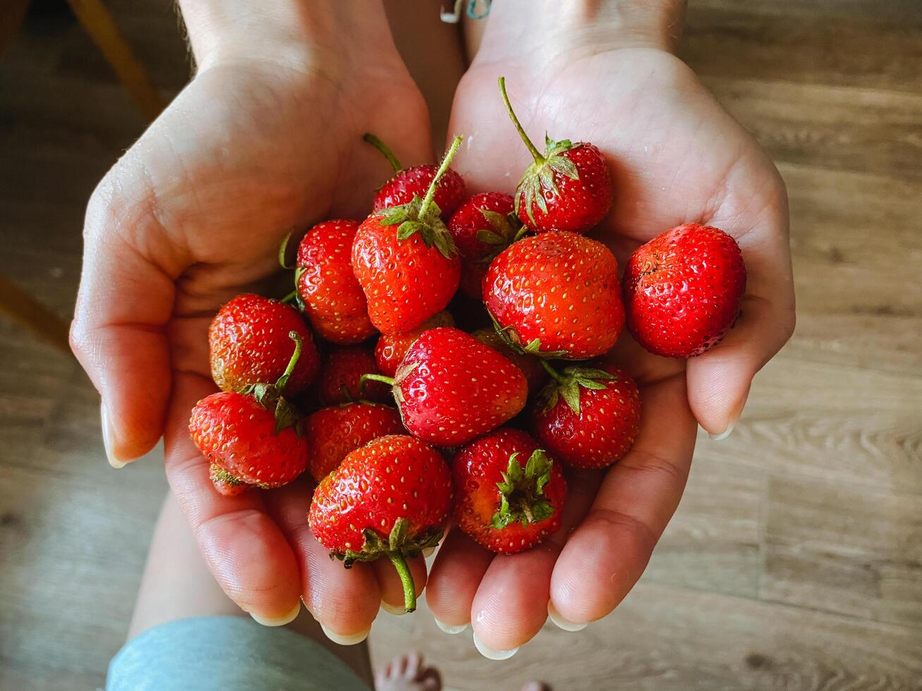 An individual with care and gentleness is holding a bountiful and vibrant bunch of strawberries, showcasing the enticing freshness, beauty, and deliciousness of this delightful fruit photo