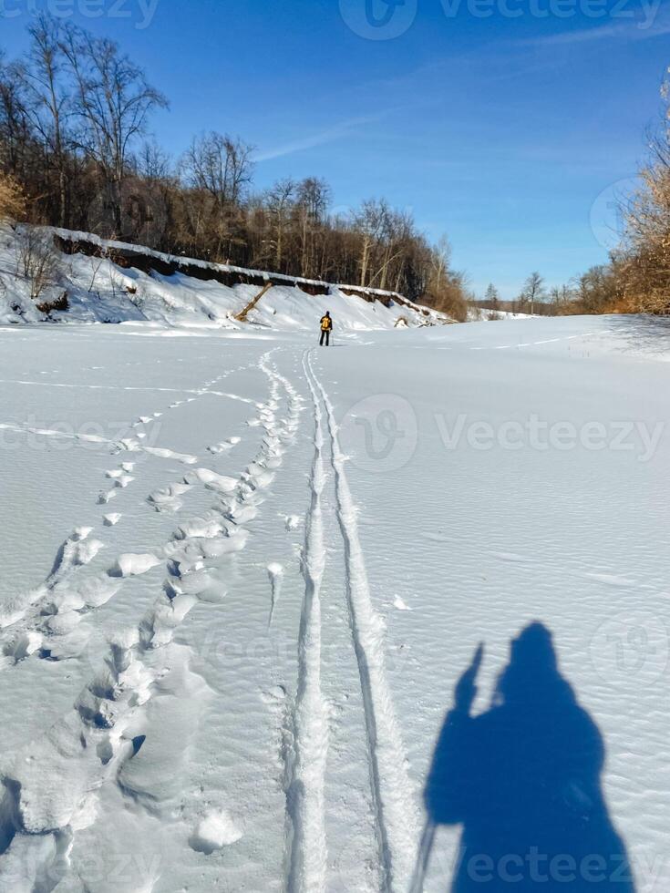 An experienced skier expertly carves through the soft, powdery snow in a stunning winter landscape, while delicate snowflakes drift gently through the crisp, clear air of the season photo