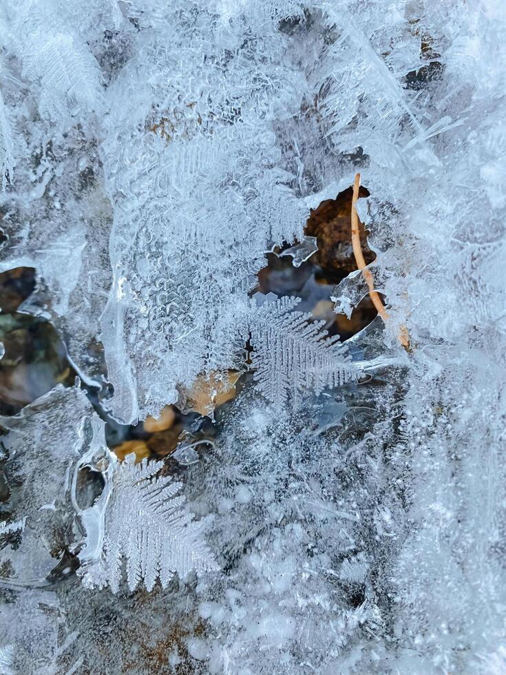 This image features a striking closeup view of a fascinating piece of ice that contains a delicate leaf encased perfectly within it, showcasing the beauty of nature encapsulated photo