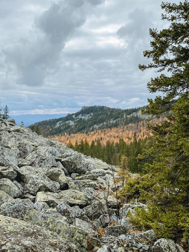 A picturesque rocky hillside adorned with various trees and majestic mountains looming in the background, creating a stunning natural landscape that invites exploration and admiration photo