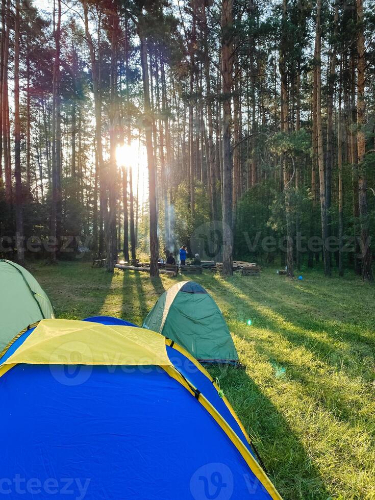 In the heart of a lush and vibrant forest, a collection of several tents can be found comfortably nestled among the trees and greenery, creating a natural campsite for outdoor enthusiasts photo