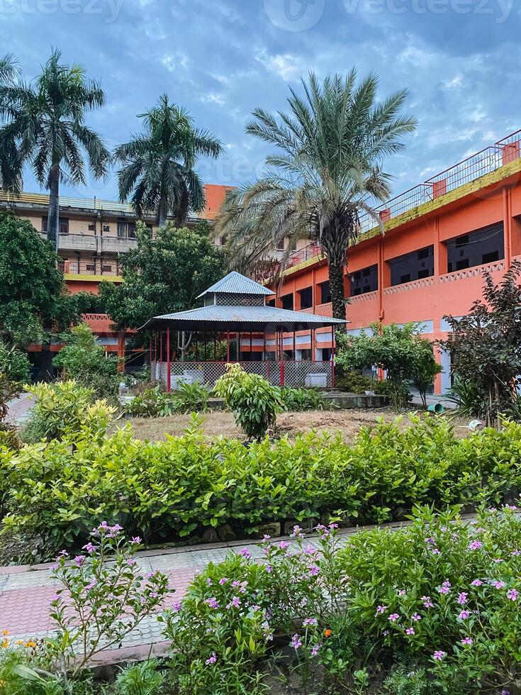 A very large orange colored building features several palm trees positioned in front of it, creating a vibrant and eyecatching urban landscape that is both beautiful and inviting photo