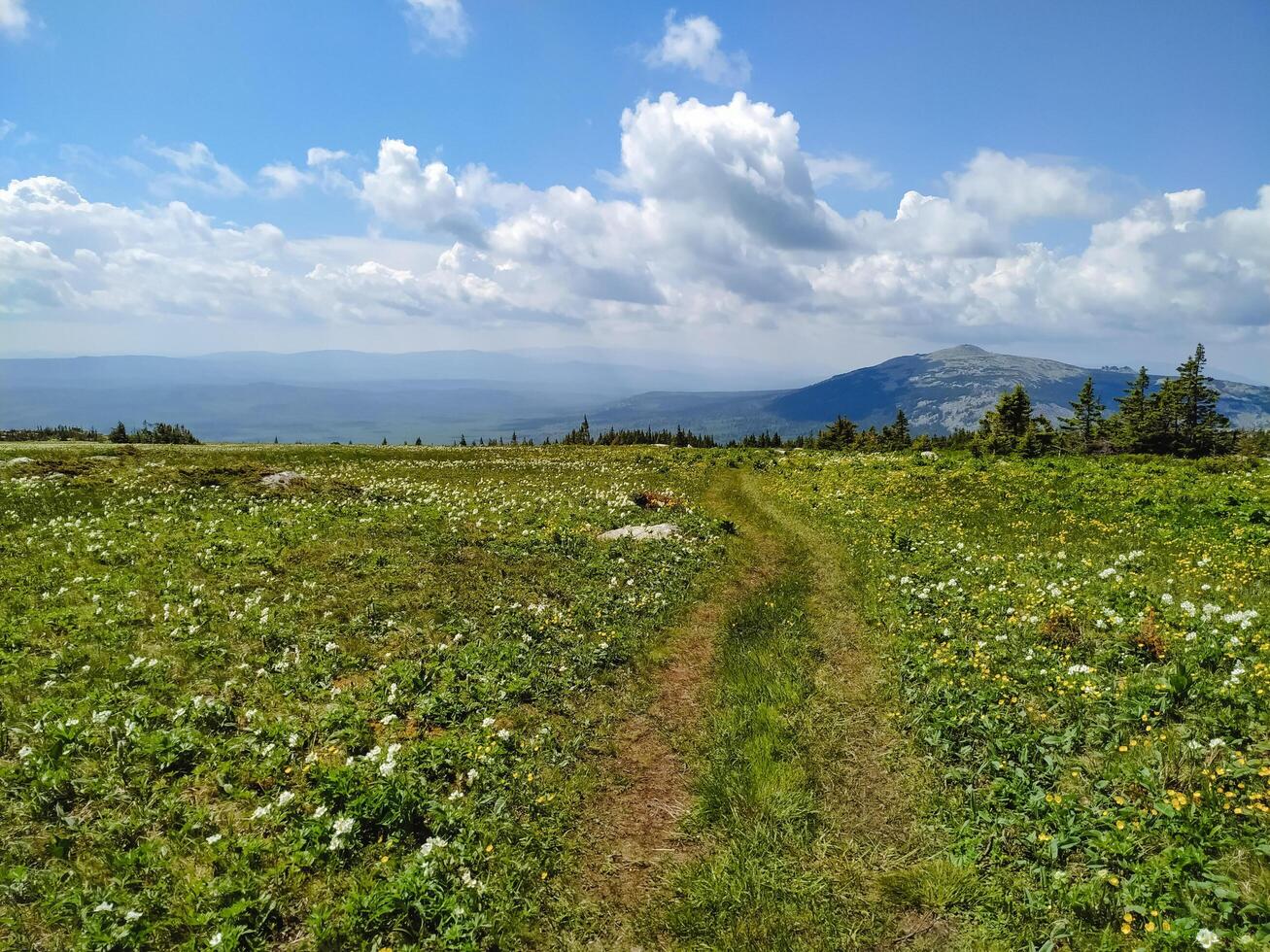 A serene mountain pathway winds through lush, vibrant greenery, all under a bright blue sky, inviting peaceful exploration and adventure photo