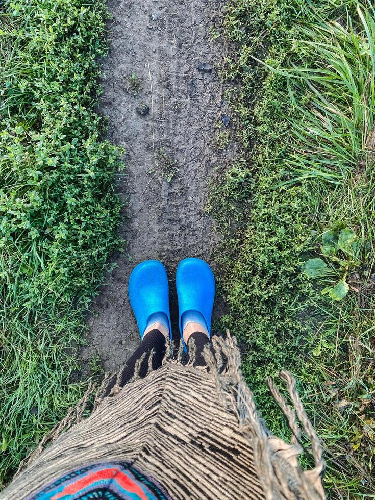 A person is standing confidently on a winding dirt path, sporting bright blue crocs that completely contrast with the earthy surroundings, which consist of grass and scattered leaves photo