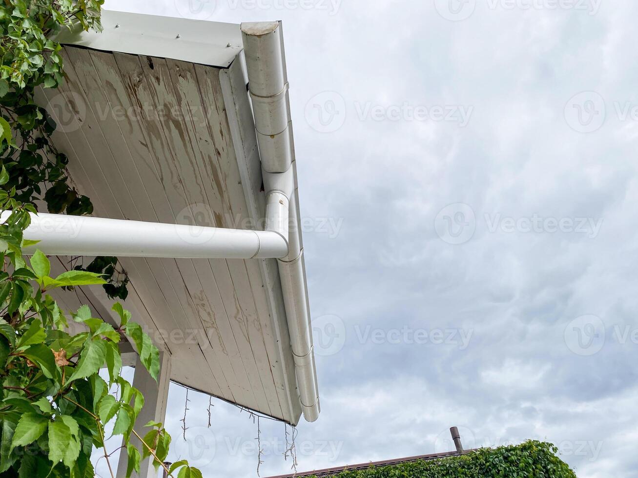 Attached to the side of the house, there is a white gutter. From this very gutter, icicles are hanging down elegantly, which creates a truly beautiful and picturesque wintry scene photo