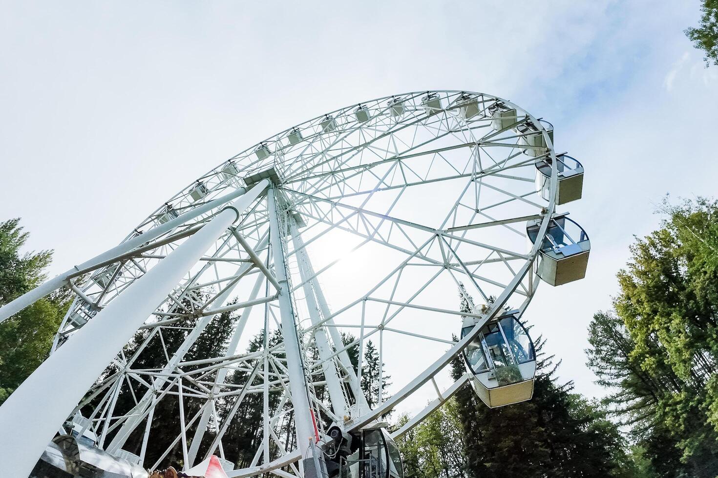 The majestic Ferris wheel in a scenic park offers a thrilling aerial view to visitors on a sunny day, blending adventure and leisure in a picturesque landscape photo