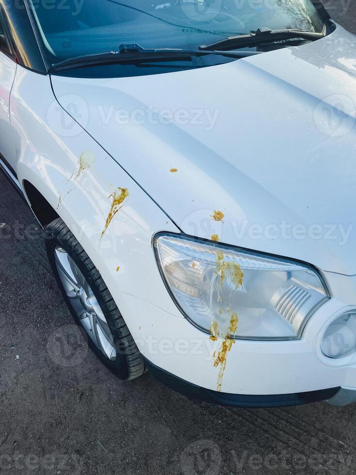 A whitecolored vehicle that has noticeable yellow stains on its hood surface, suggesting it may have been parked in an area with substances that caused the discoloration photo