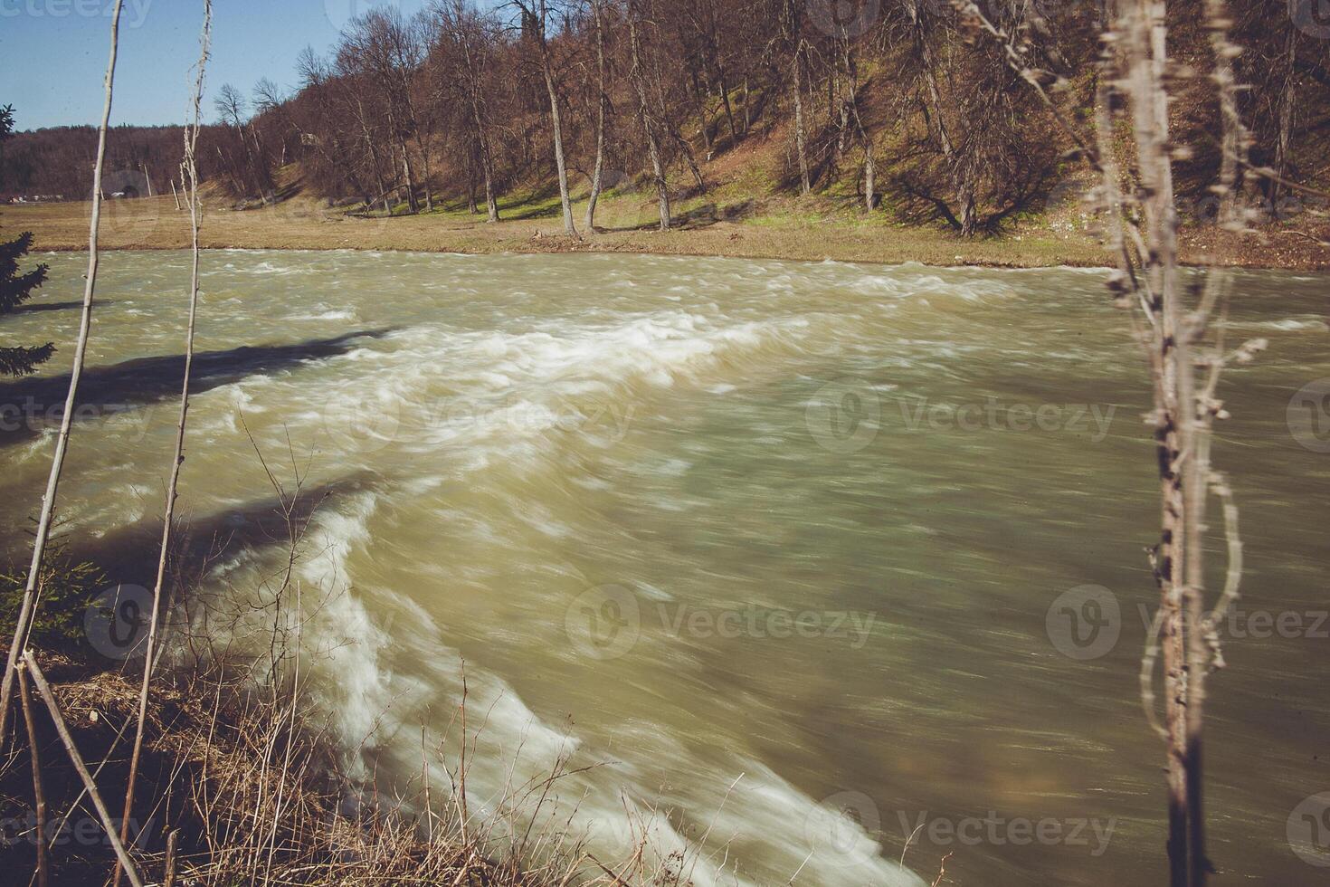 Picturesque river flowing through treefilled forest landscape photo