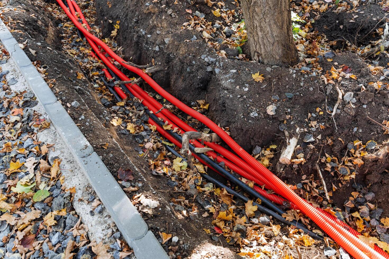 Underground Installation of Red and Black Electrical Cables Amidst a Beautiful Autumn Landscape, Capturing the Essence of Nature in Construction photo