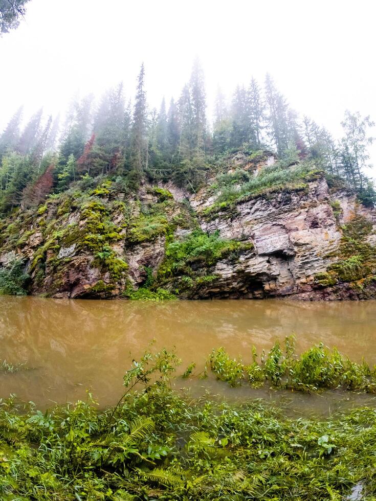 A stunningly beautiful river meanders gracefully through a vibrant, lush green forest, which is located right next to a towering, rocky cliff that greatly enhances the picturesque scenery photo
