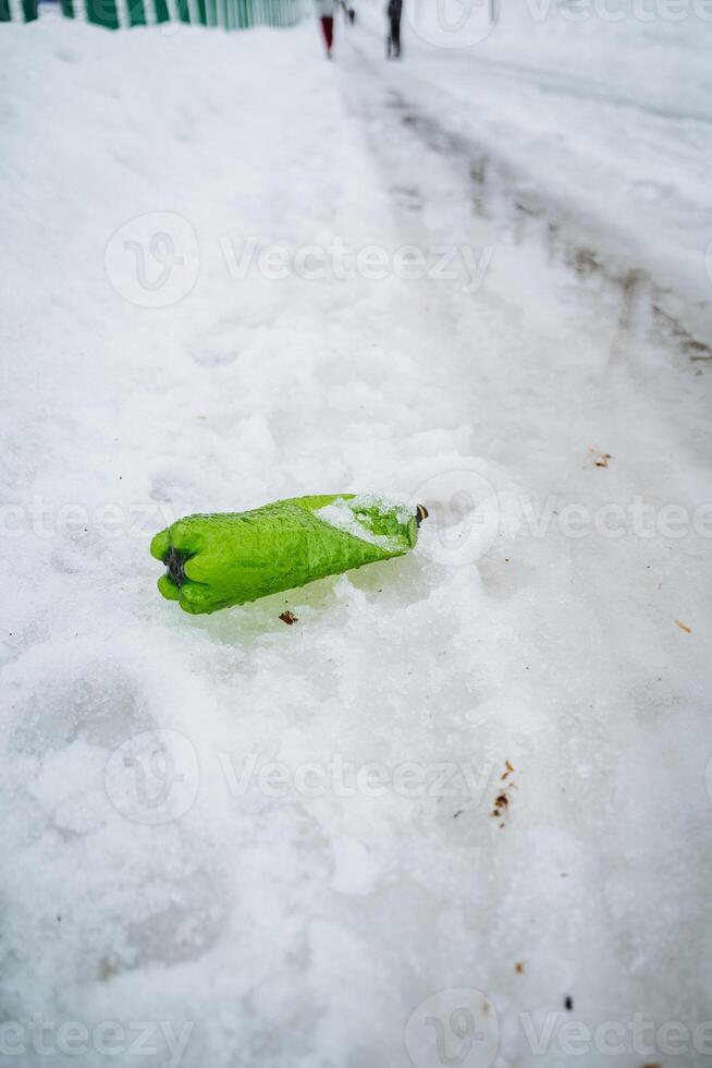 A green plastic bottle is frozen in the snow on the roadside photo