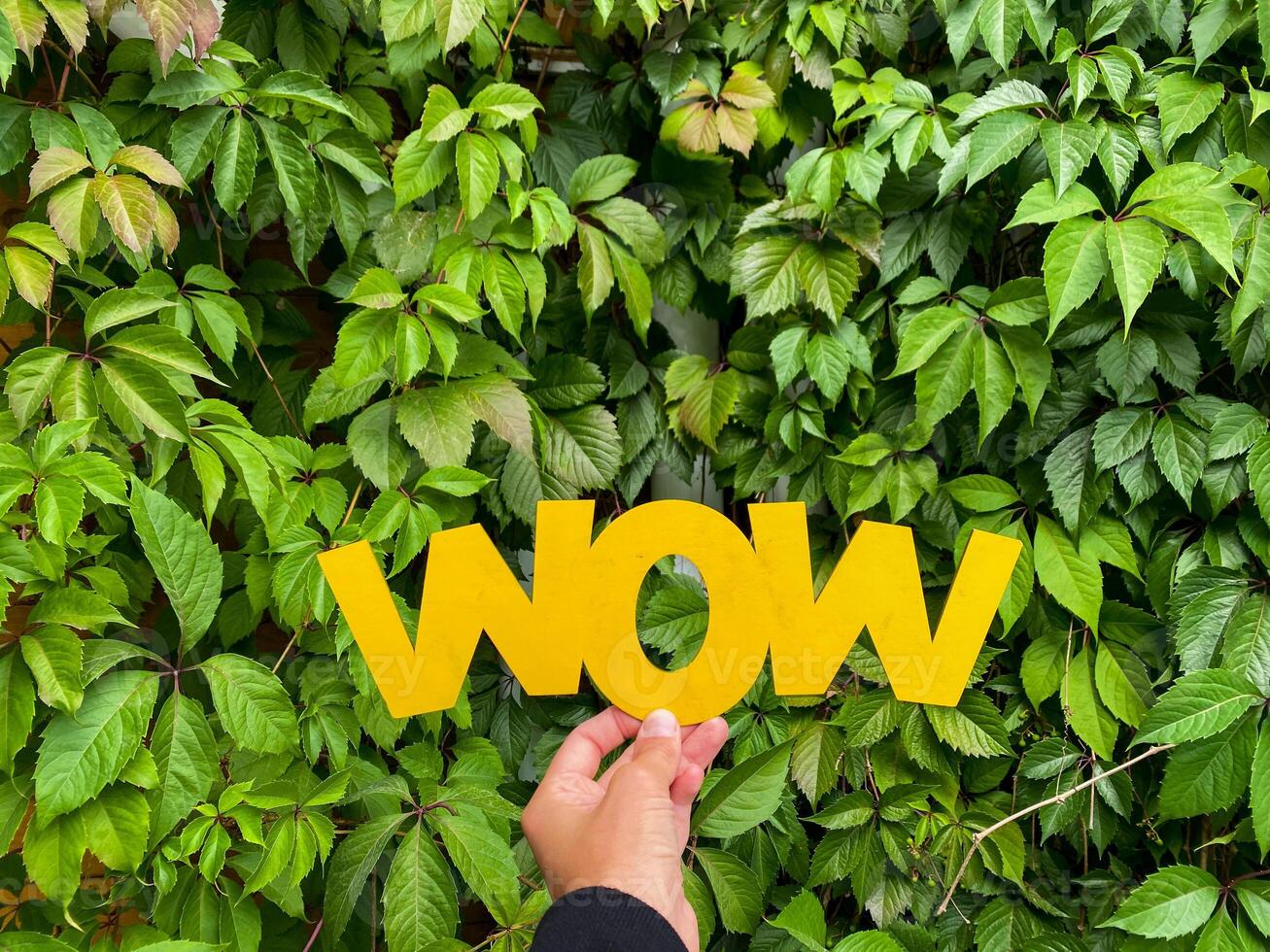 A Vibrant WOW Sign Set Against Lush Greenery Creates a Stunning Visual Experience That Captivates Nature Lovers and Sparks Creativity in All Artists photo