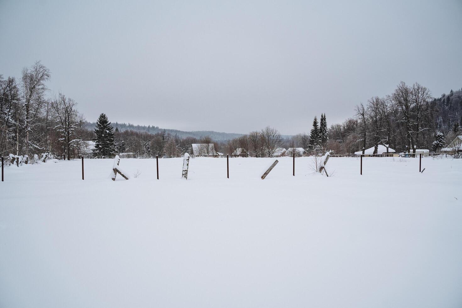 In a serene snowy field adorned with a rustic fence, there are trees standing gracefully in the background, creating a picturesque winter wonderland scene filled with peace and tranquility photo