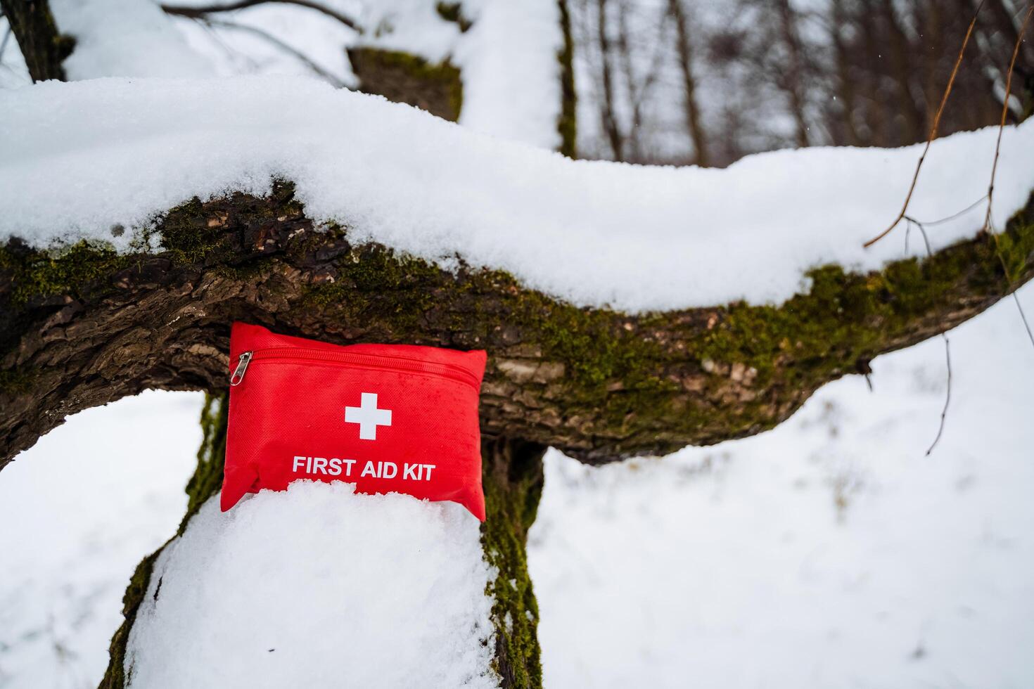 A bright red first aid kit can be seen hanging from a snowcovered tree branch amidst the winter landscape, creating a stark contrast against the whiteness of the snow and the tree photo