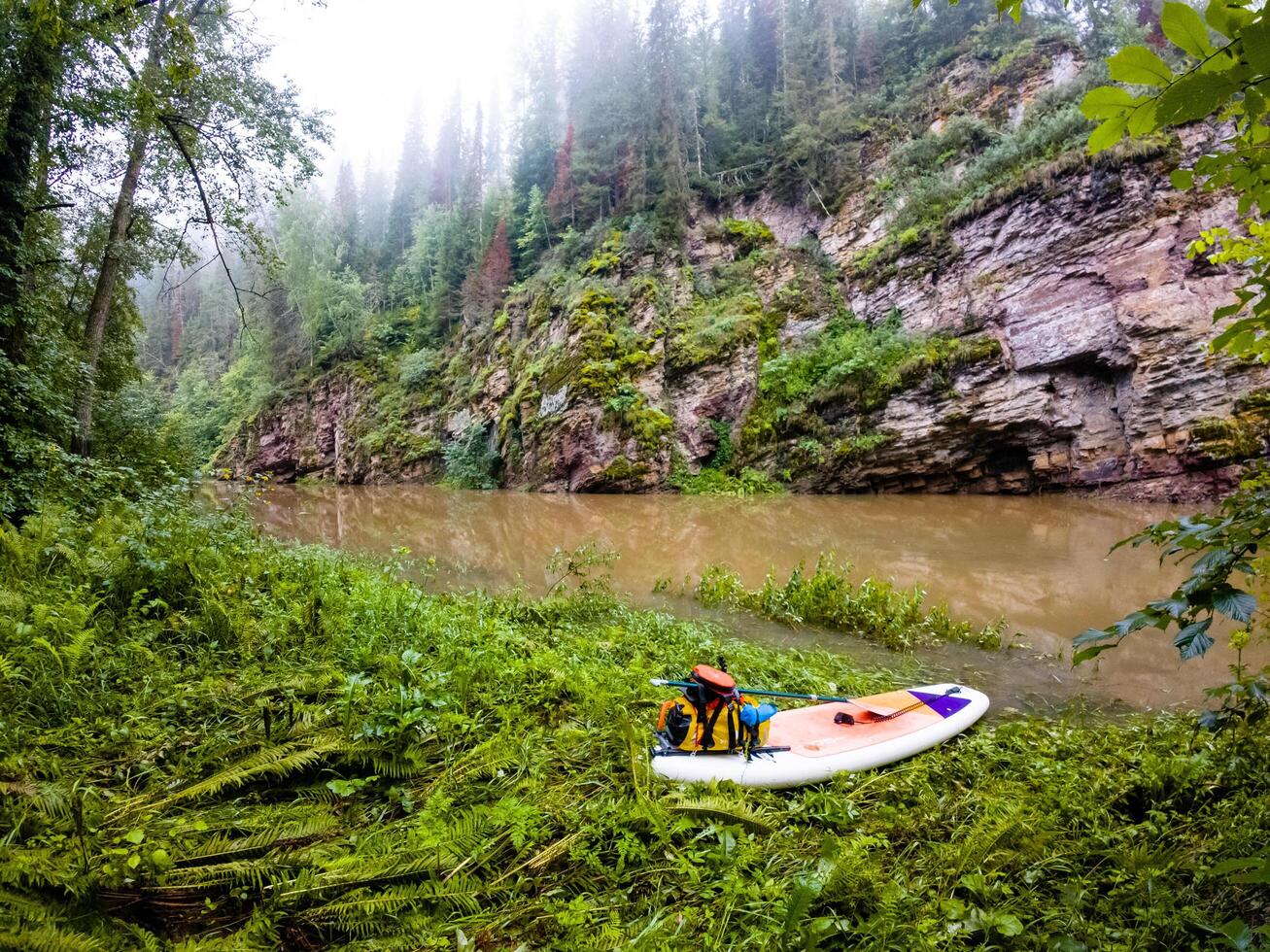 A surfboard is currently resting on the sandy shoreline of a river located in the tranquil woods, creating a picturesque scene that blends adventure with natures beauty photo