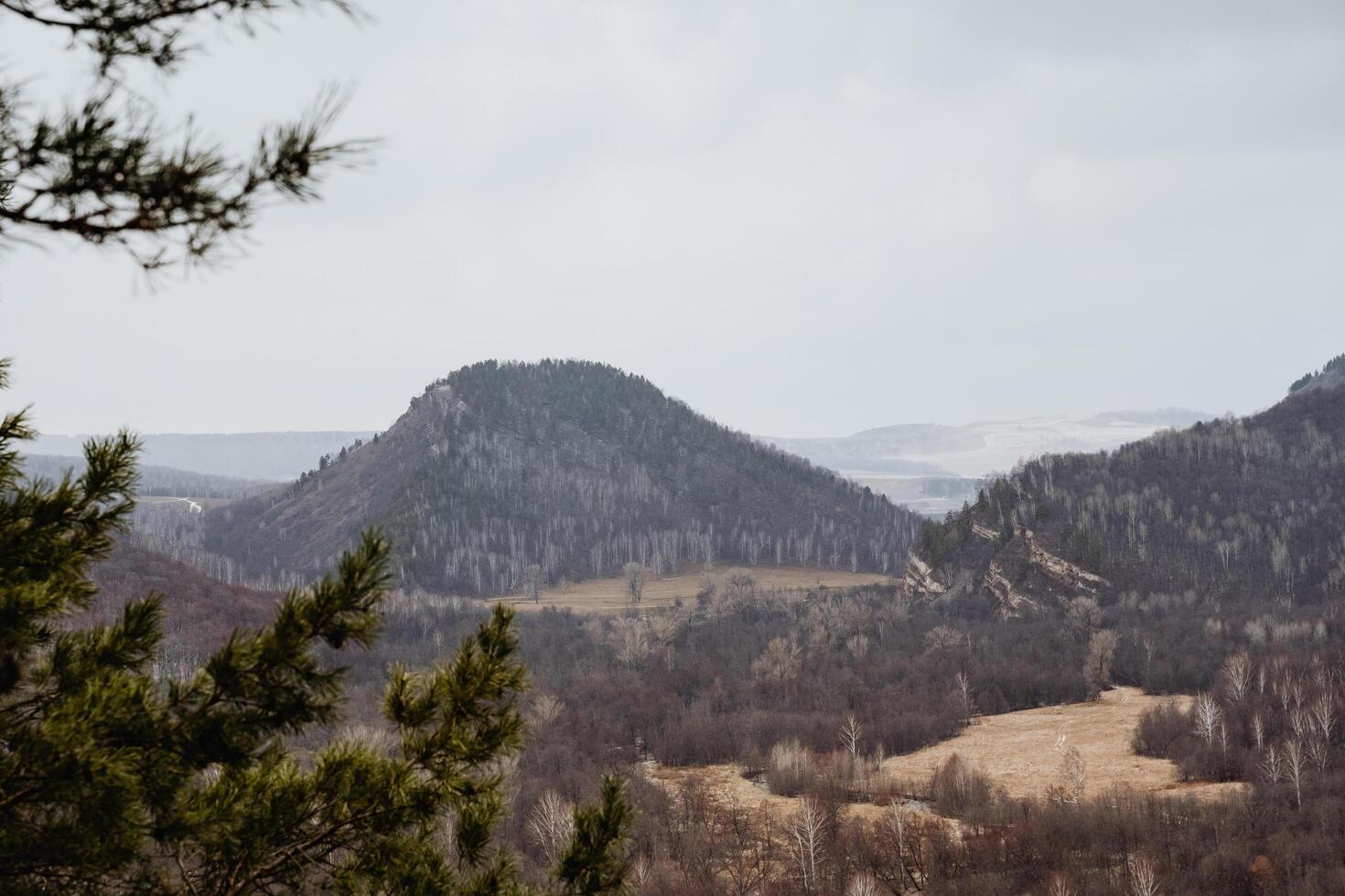 Here we have a breathtaking view showcasing a stunning mountain range, adorned with an array of trees gracefully standing in the foreground, creating a picturesque natural scene photo