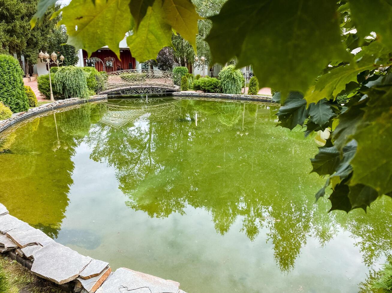 A scenic pond located within a tranquil park, beautifully encircled by lush trees and greenery, creating a serene natural landscape for relaxation and leisure activities photo
