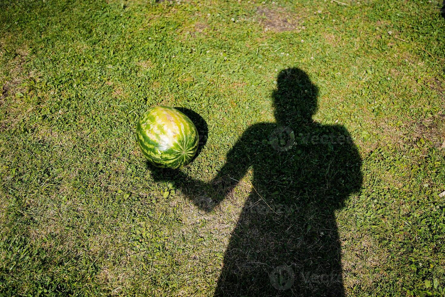 A shadow of an individual can be seen holding a watermelon firmly in their hand while standing on the ground, creating an interesting visual against the backdrop of nature photo