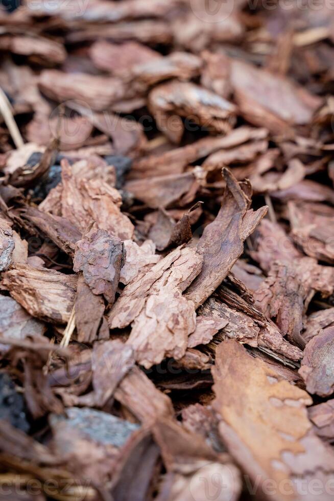 Explore the stunning and diverse textures of natural wood mulch, which is perfect for enhancing the beauty of your landscaping and gardening projects photo