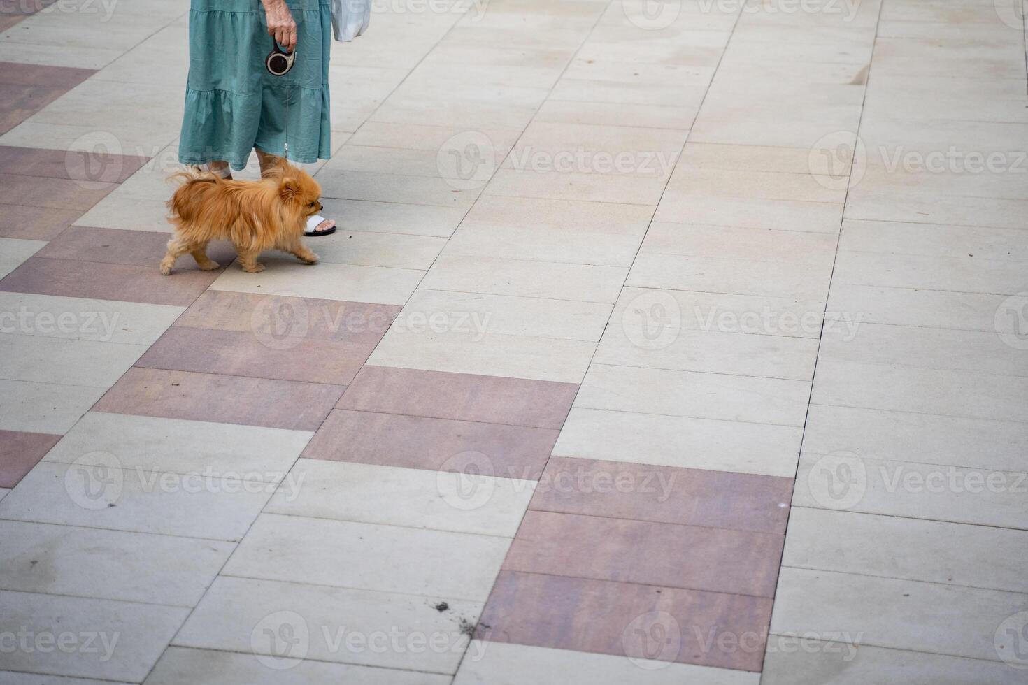A woman is strolling along a pathway while holding a small dog on a leash, enjoying the outdoors together during this lovely day, creating a heartwarming scene of companionship photo