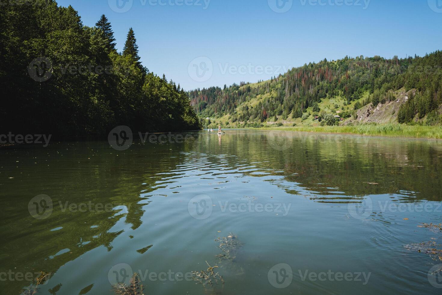 Visualize a serene image of a river surrounded by green trees on a sunny day, with sparkling water under the bright sky. This peaceful natural scenery epitomizes calm and tranquility photo