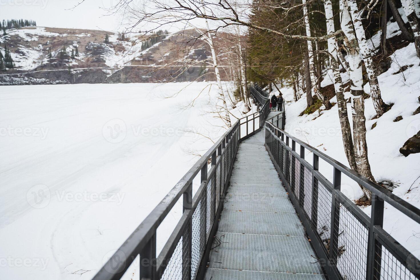 Wooden bridge over frozen lake, surrounded by snowcovered trees and plants photo