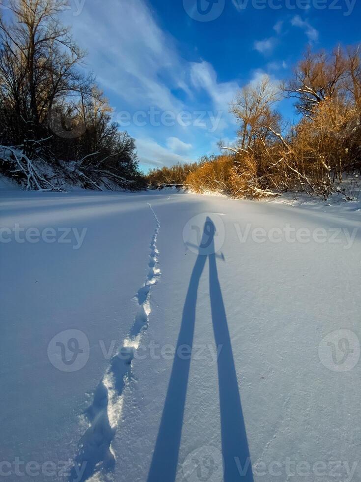 A persons shadow is beautifully cast upon a snowy road, altering the winter landscape and creating a striking visual effect that showcases the interaction of sunlight and snow photo