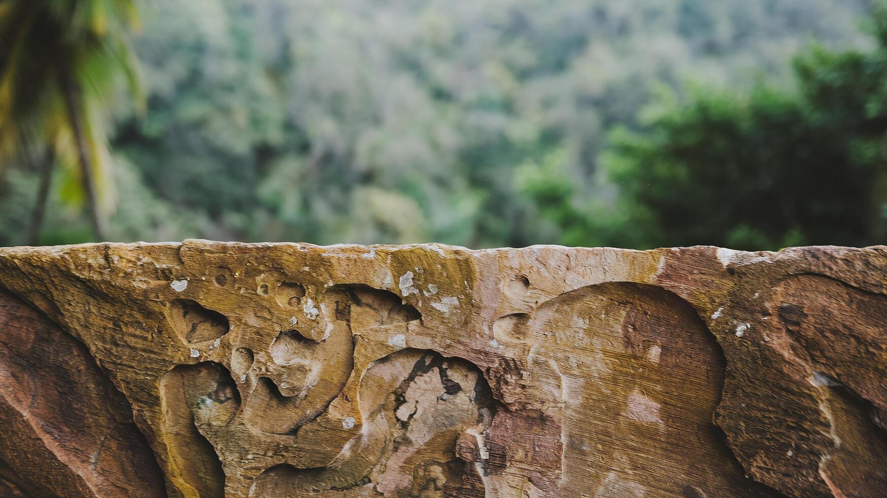 Closeup of Weathered Brown Stone Wall with Natural Carvings Surrounded by Lush Green Forest photo