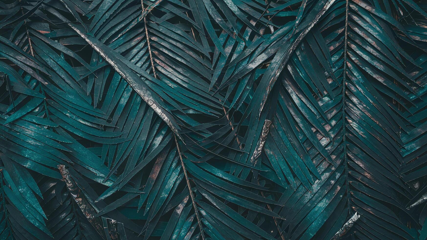 Dark Green Tropical Palm Leaves Pattern Closeup Representing Nature and Exotic Jungle Aesthetic photo