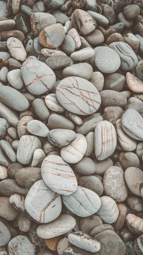 Collection of Smooth Gray and Beige Beach Stones with Natural Patterns and Textures on Rocky Ground photo