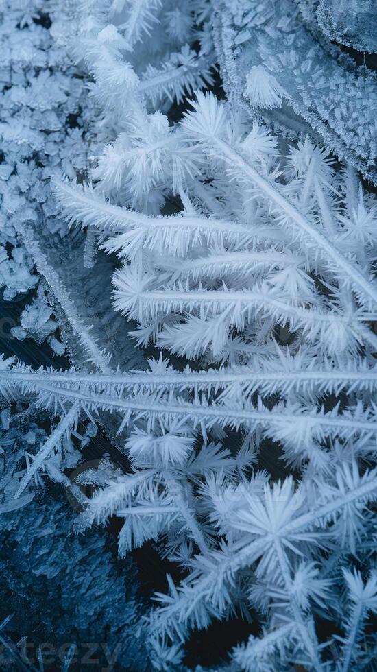 Closeup of Delicate Ice Crystals and Frost Patterns with Sharp Details on Dark Grungy Surface in Winter photo