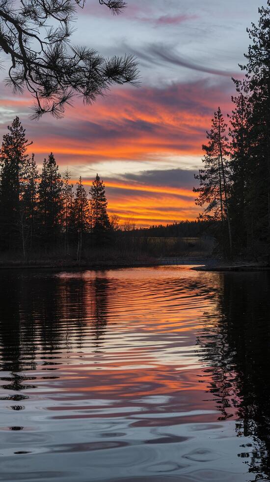 Scenic View of Vibrant Orange and Purple Sunset Reflecting on Calm Forest Lake with Pine Trees Silhouette photo