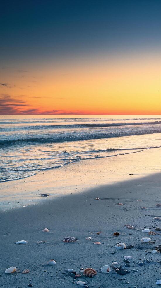 Serene Beach View with Shells on Sand at Sunset with Vibrant Horizon and Gentle Waves photo