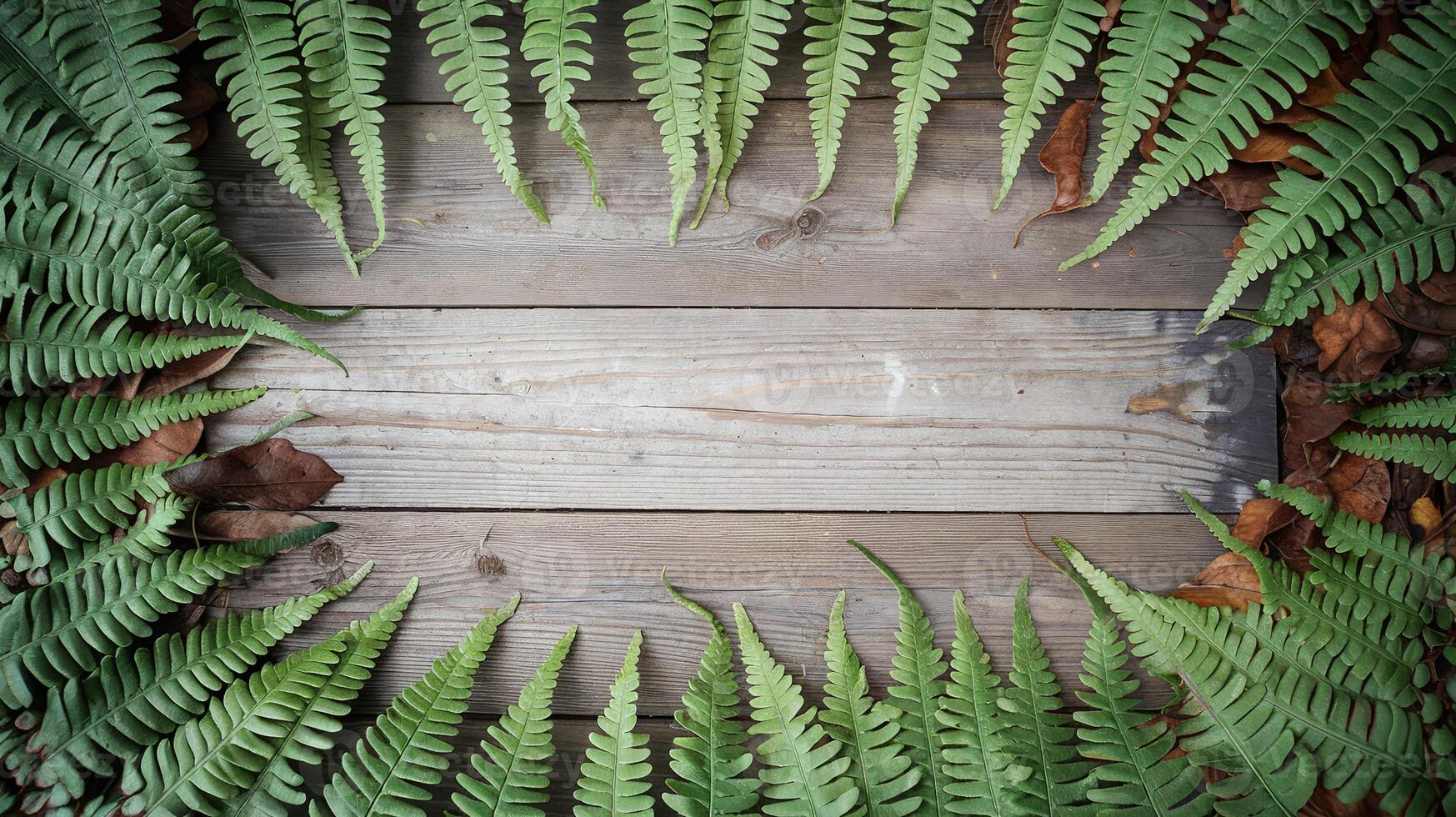 Green Fern Leaves Framing Rustic Wooden Planks with Dry Brown Leaves in Natural Autumn Setting photo