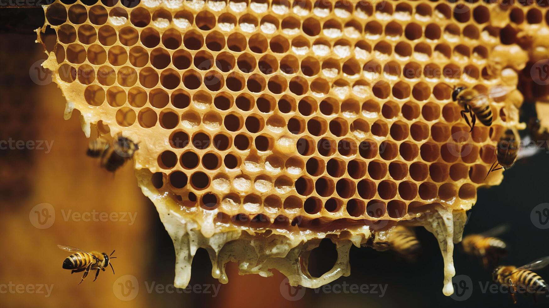 Closeup of Honeycomb with Hexagonal Pattern and Bees Producing Honey in Natural Outdoor Setting photo