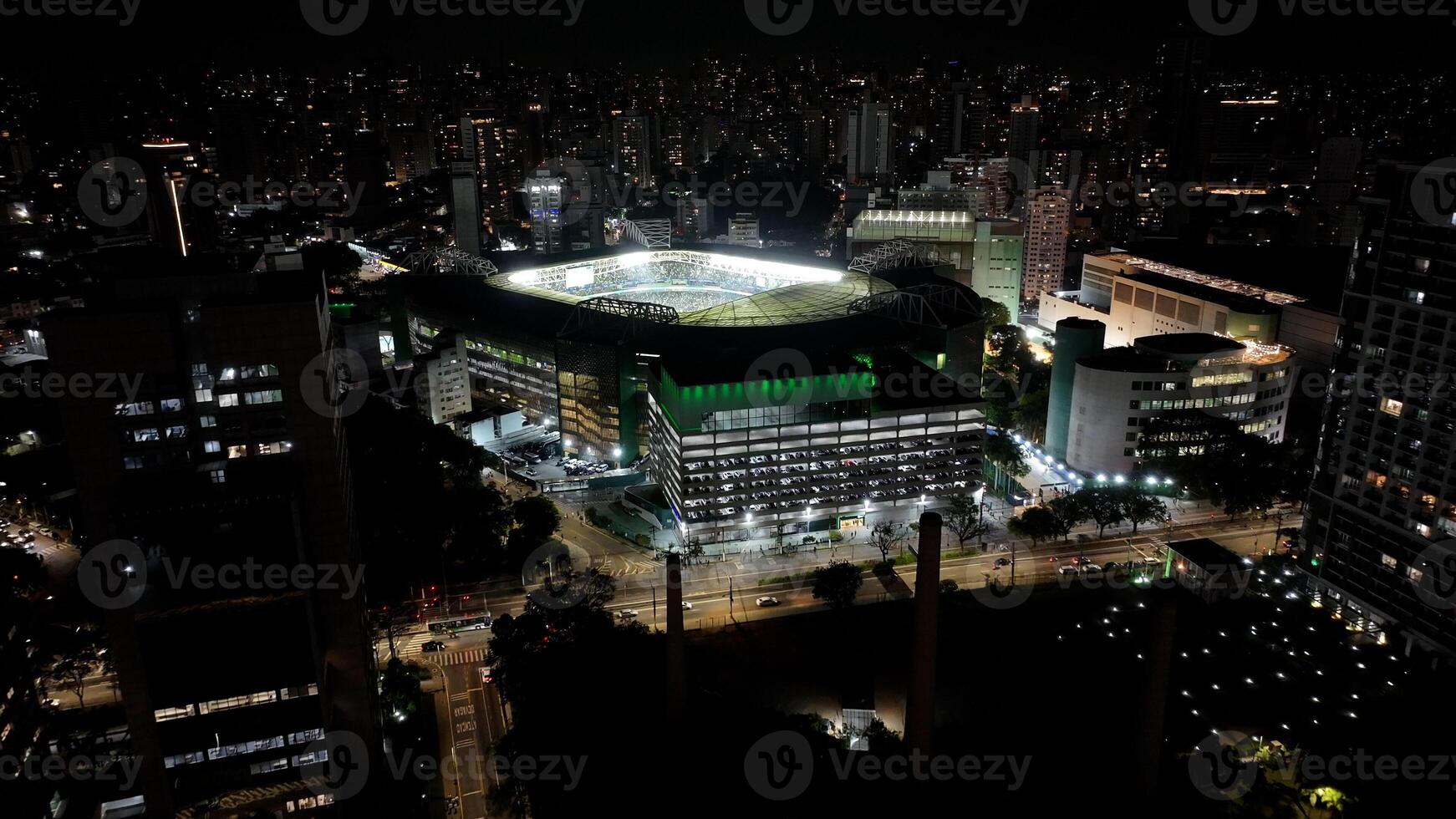 Famous Palmeiras Stadium in Sao Paulo Sao Paulo Brazil. photo