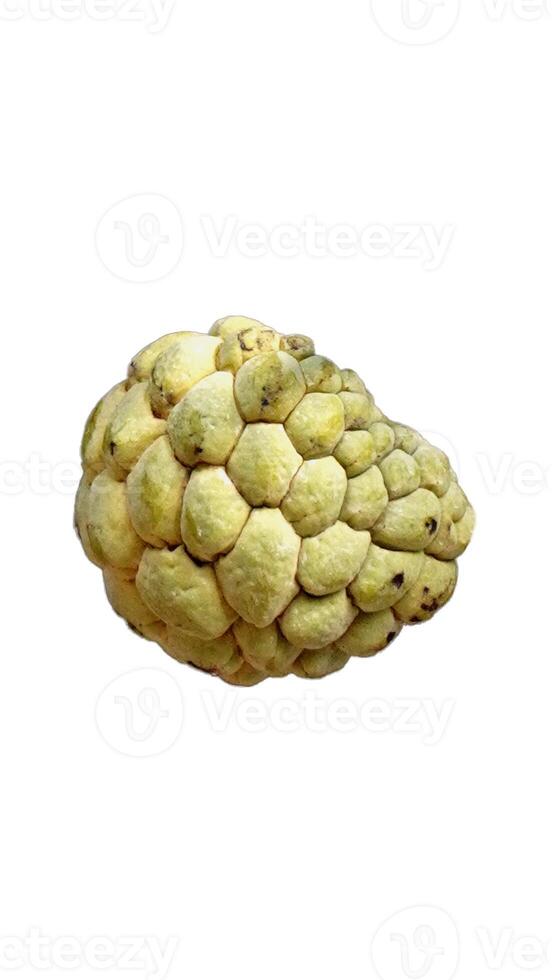 custard apple with pale green showing its unique bumpy texture photo