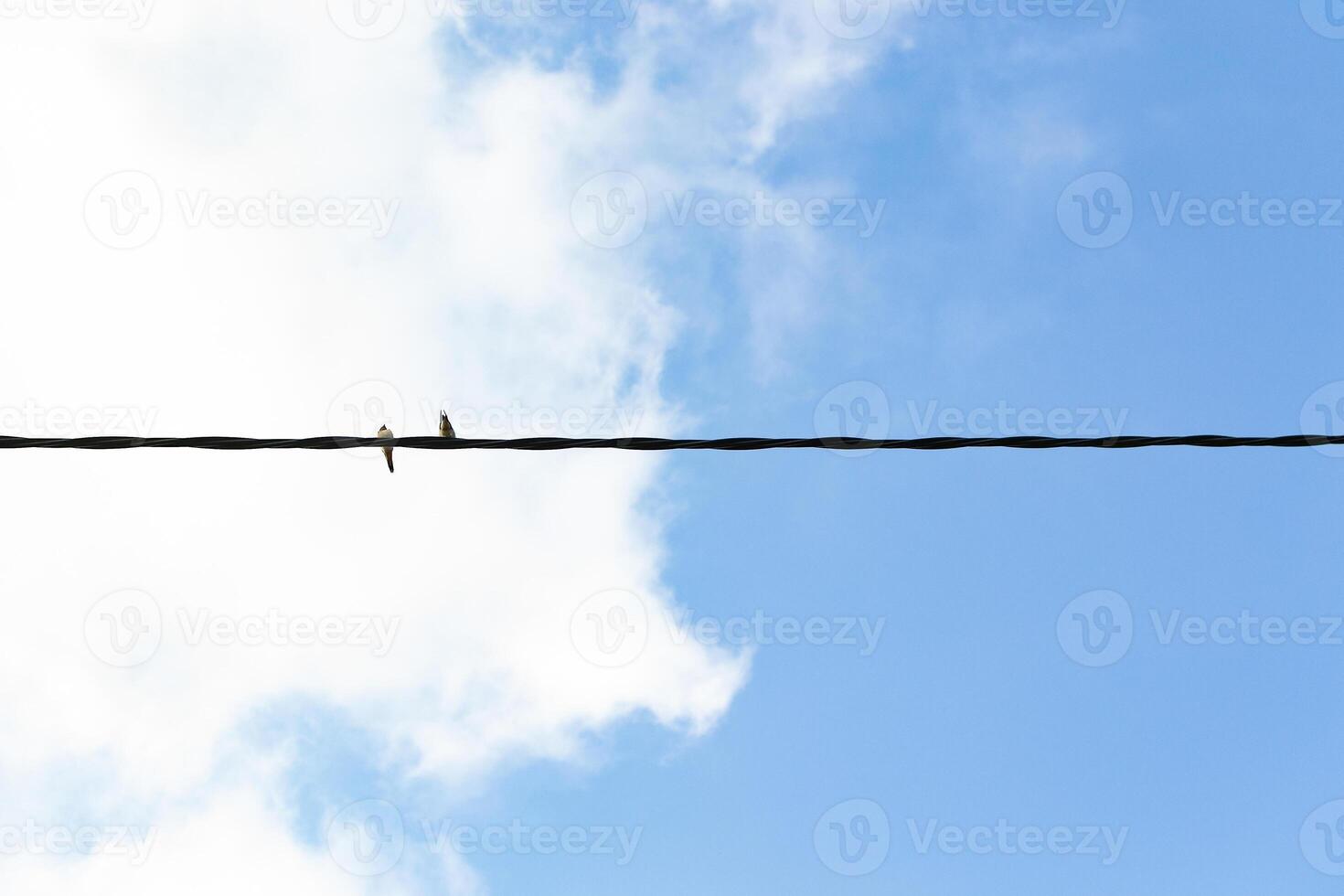 Two birds on an electric wire, with half the sky blue and the other half with clouds. photo