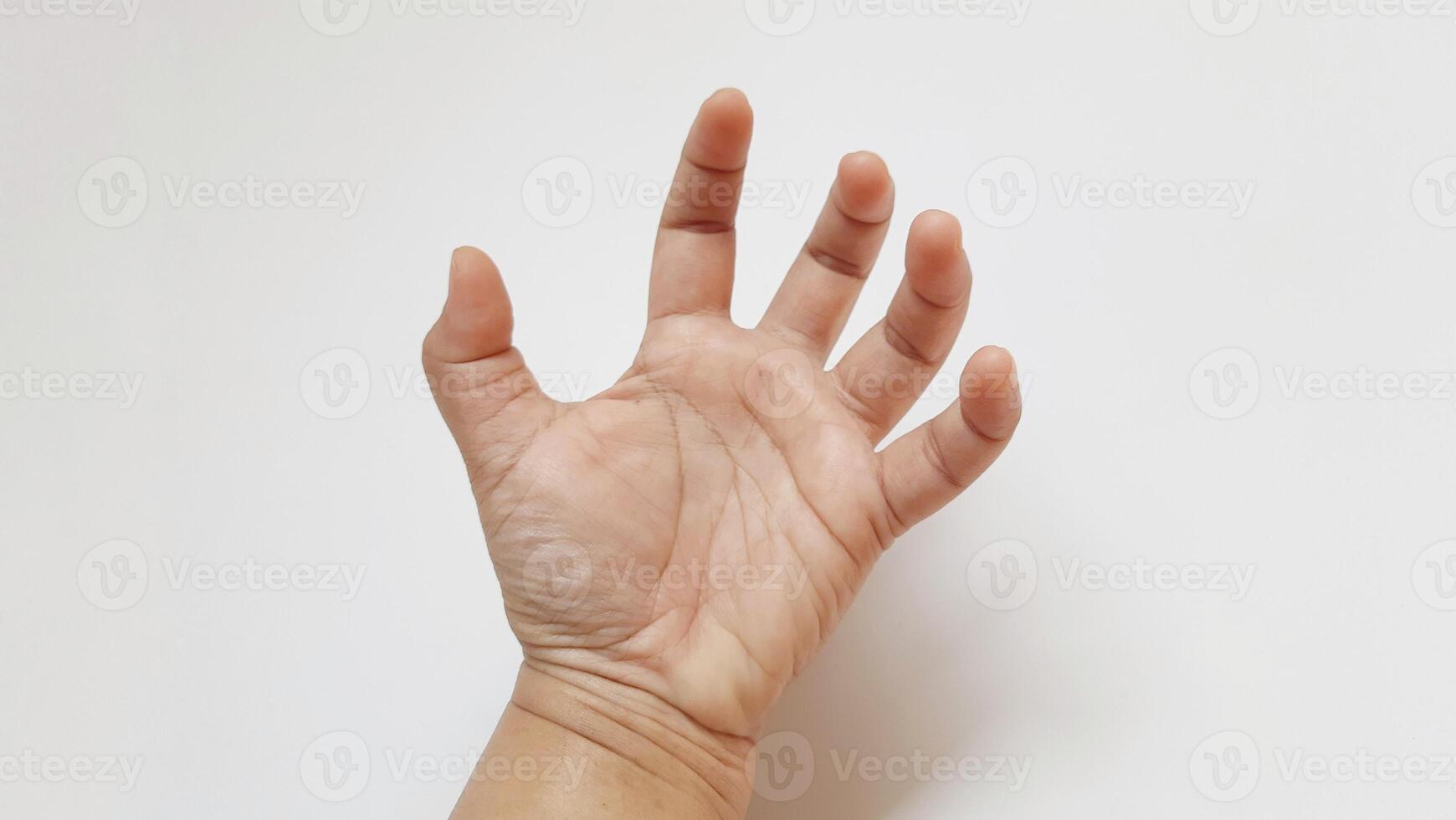 Human hand gesture concept. Language of communication poses isolated on white background photo