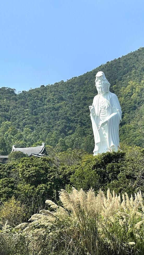 Vertical Hong Kong landmark building Tsz Shan Monastery buddha statue photo