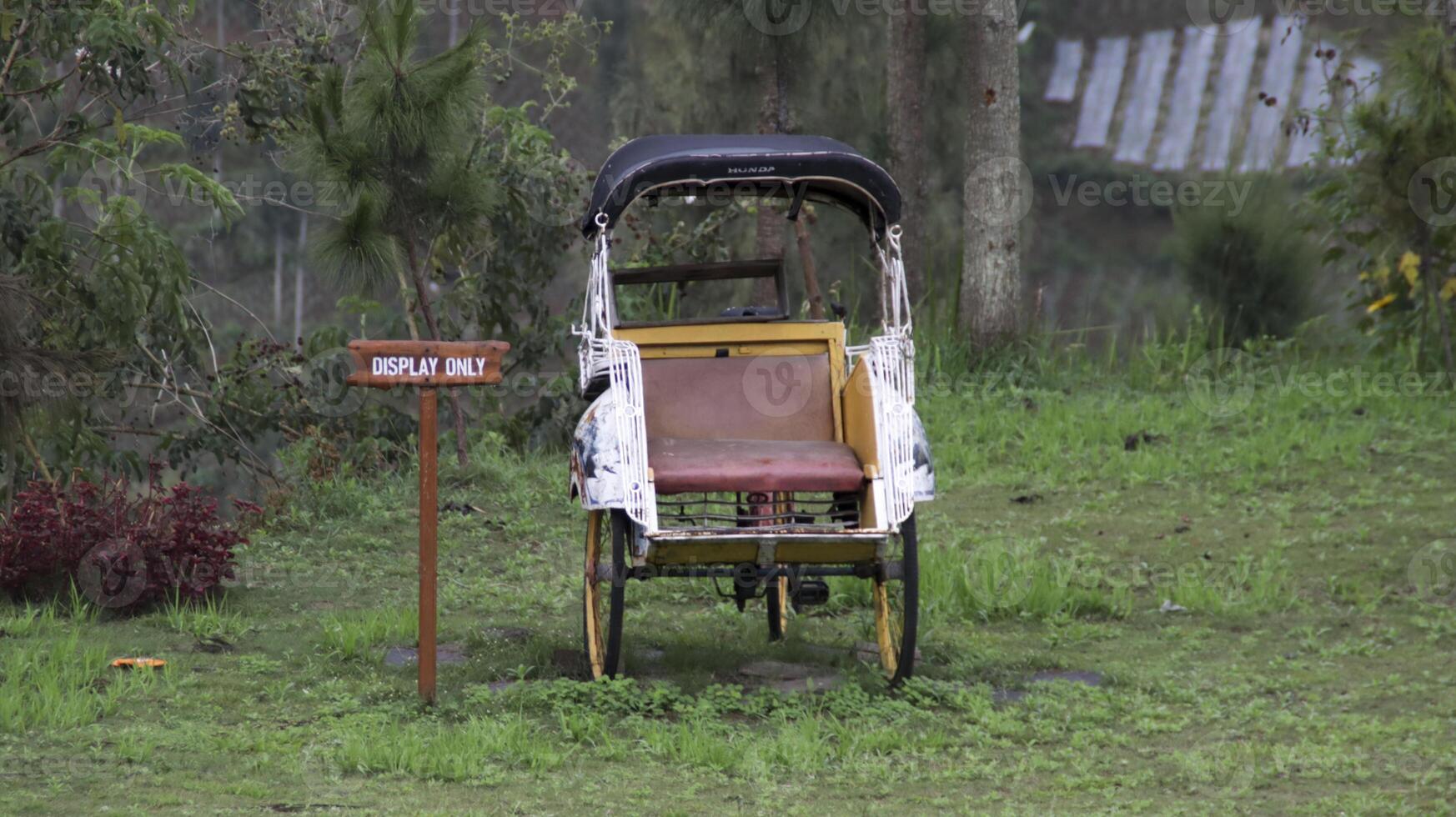 Rustic yellow pedicab with a display only sign surrounded by lush green grass and vibrant plants in a serene outdoor setting. photo