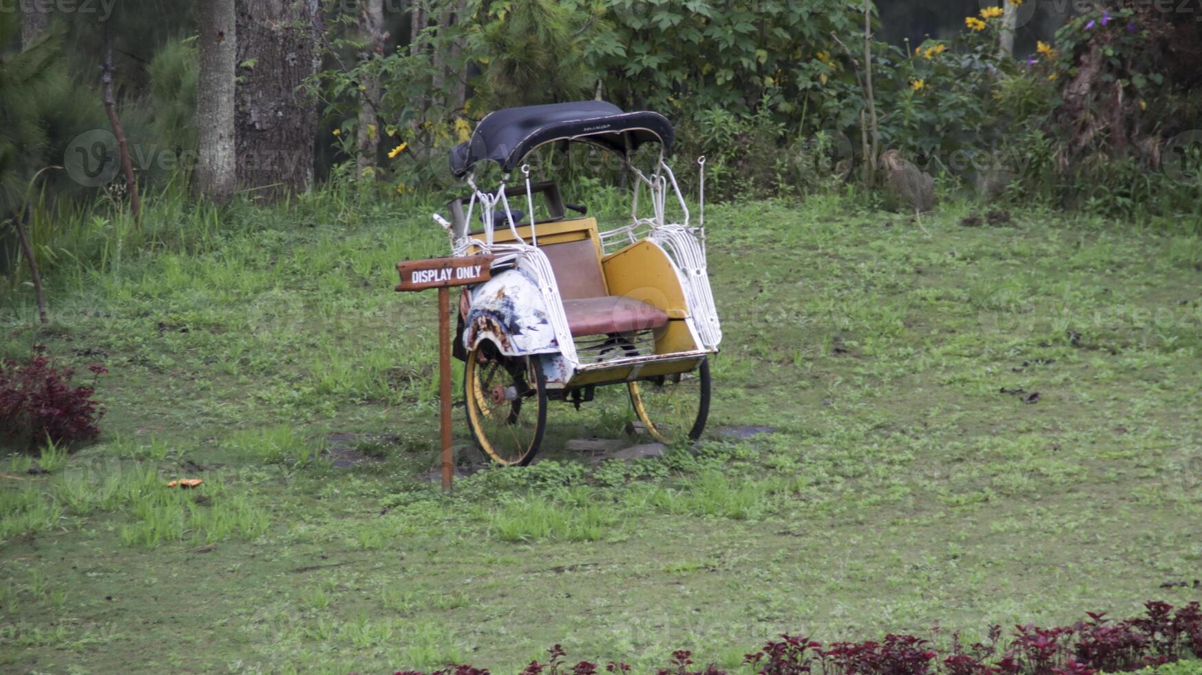 Rustic yellow pedicab with a display only sign surrounded by lush green grass and vibrant plant. photo