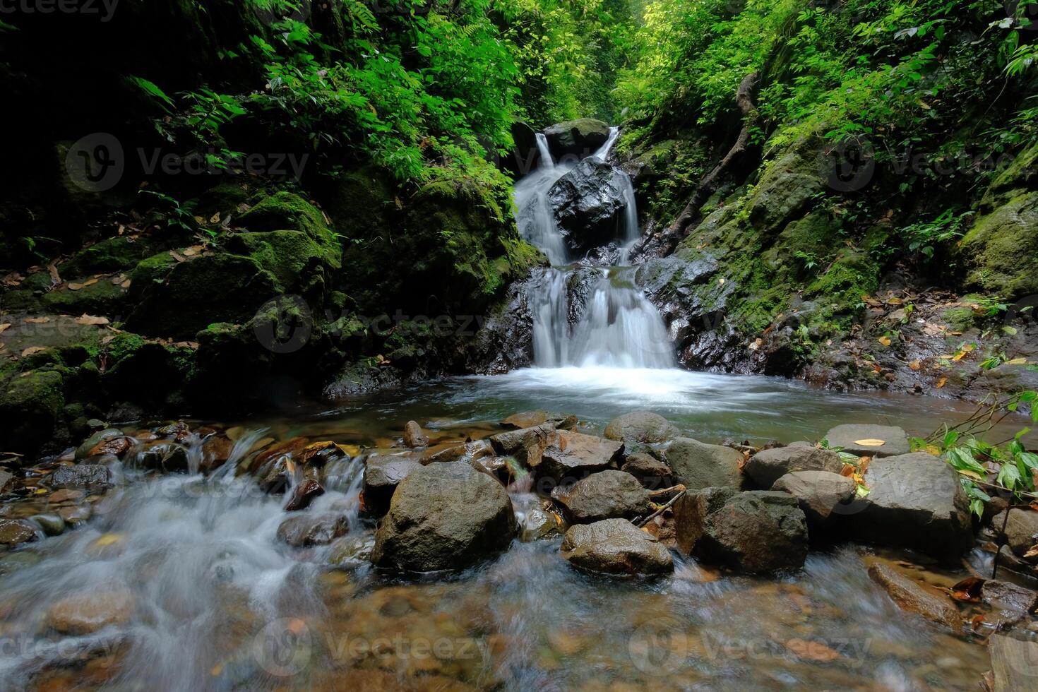 Clear water flow in the forest. River water flow in natural forest photo