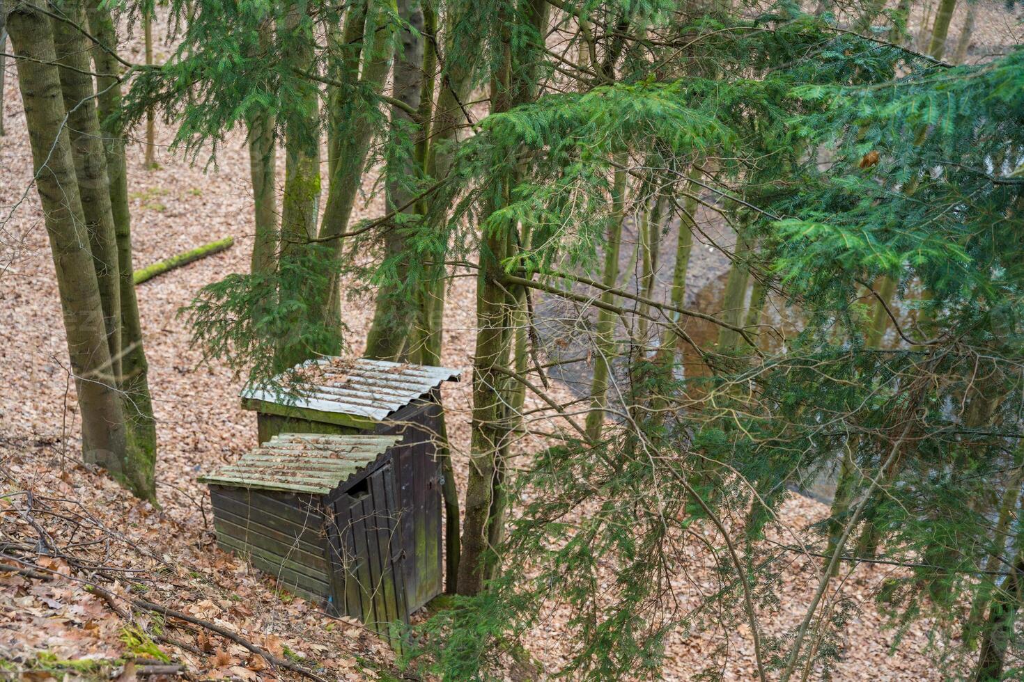 Abandoned two small fishermen's houses stand in a quiet forest next to a river bay, Czech Republic photo