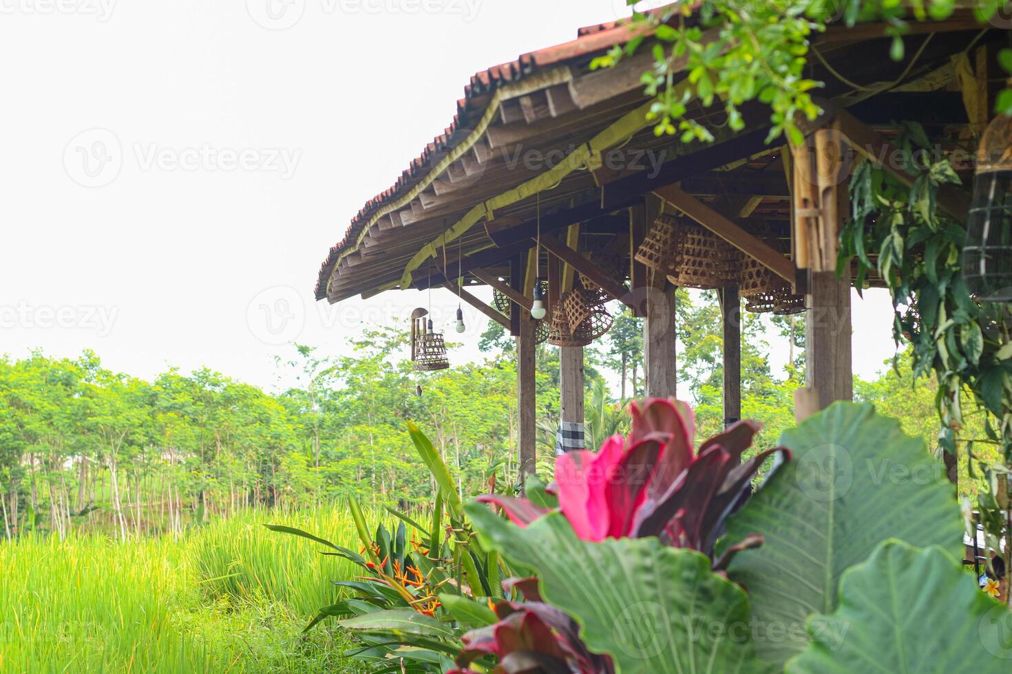 Cafe with a view of nature photo